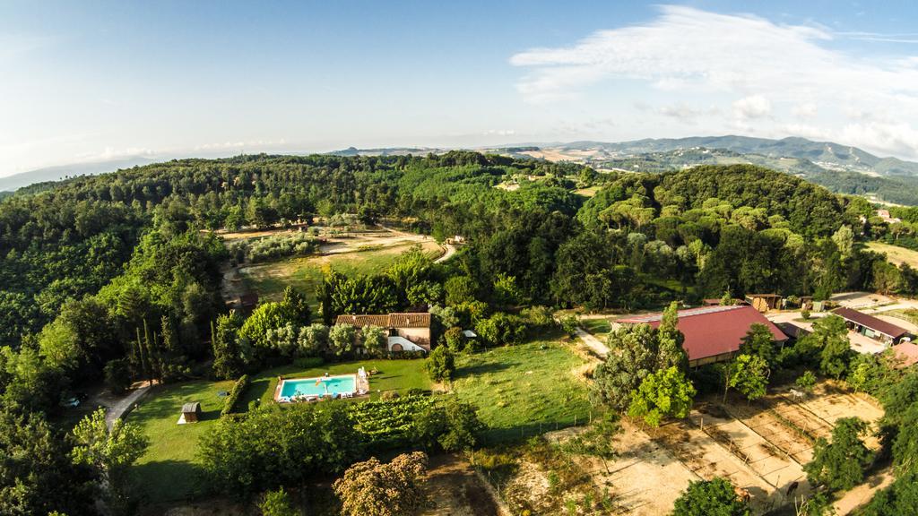 Гостьовий будинок Fioralice Fauglia Номер фото